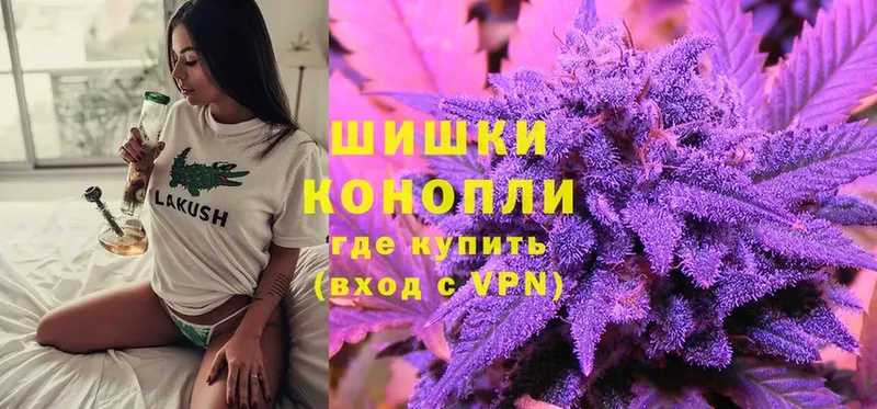 Канабис Bruce Banner  где купить   Верея 